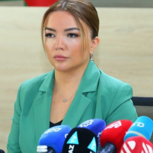 Aygün Əliyeva: Milli prioritetlərdən biri də ekoloji problemlərin həlli məsələsidir